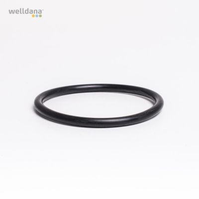 O-ring for union f. Koral pump