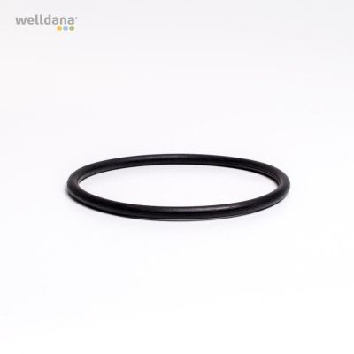 O-ring for chlorine feeder for model 30-001350+30-001392
