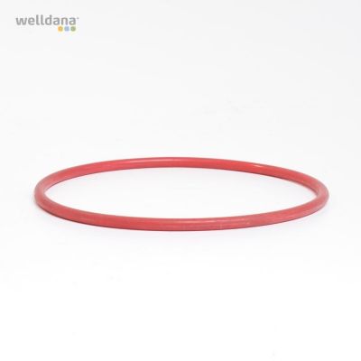 O-ring for chlorine feeder for model 30-001394