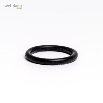 Plug o-ring Welldana® Sandfilter