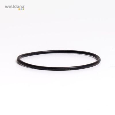 O-ring for filter tube 50mm Welldana® Sandfilter