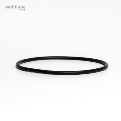 O-ring for BT-filters  (6mm - ø 145mm)