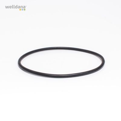 O-ring filter