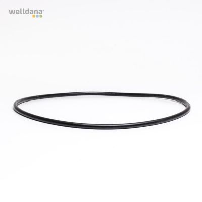 O-ring t/ forfilter 4L øD215 6mm