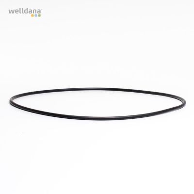 O-ring t/ forfilter 25L øD380 7mm