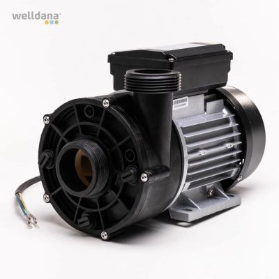 Spa pump 250W 230 V