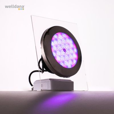 Moonlight, RGB, 575 lm, 15W 12 vac, 4m cable incl.