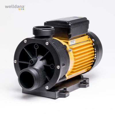 Spa pump, 1x230V