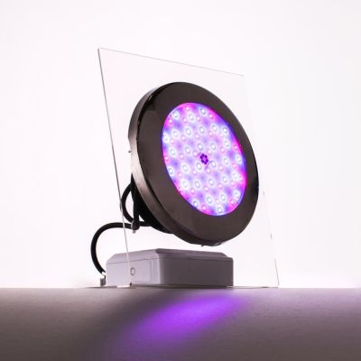 Moonlight, white, 1250 lm, 16W 12 Vac, 4m cable incl