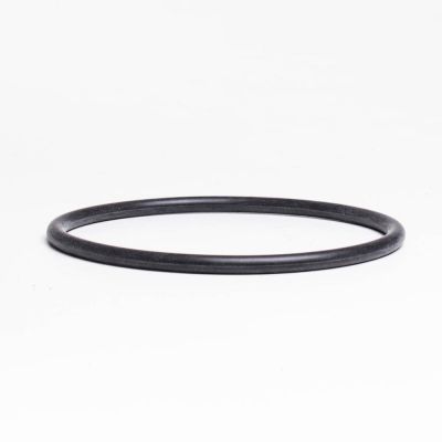 O-ring for pump case Max flo XL