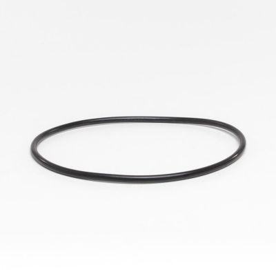 O-ring for pre-filter lid