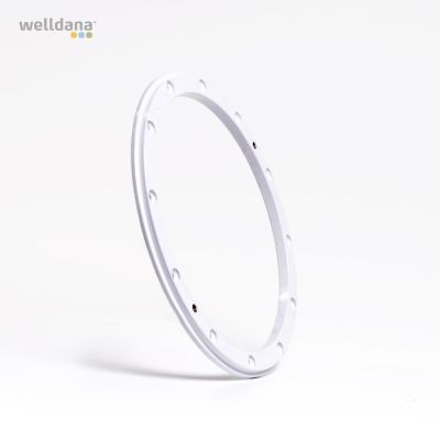 Flange for liner Welldana pool lamp