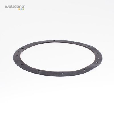 Packing for liner Welldana pool lamp