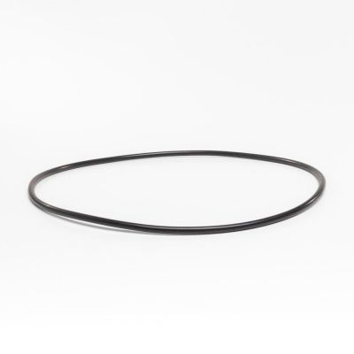 O-Ring mellem mortor og vådende  InverPro pumpe   No 20