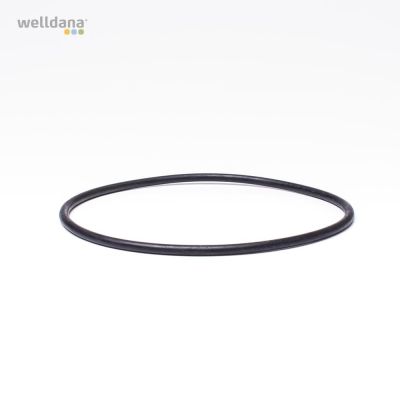 O-ring for prefilter BADU 90