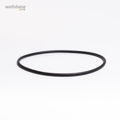 O-ring for casing 164,47 x 5,33 mm
