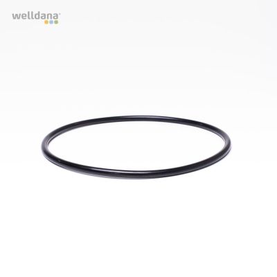 O-ring f/ pump lid KS