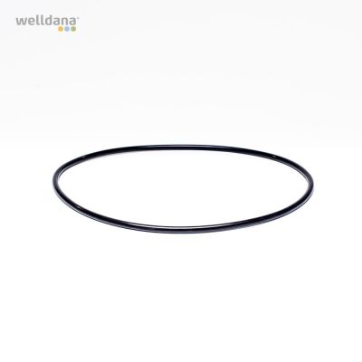 Flange O-ring KS