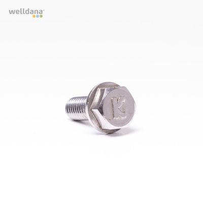 Screw