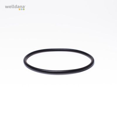 Pump lid O-ring, Ondina