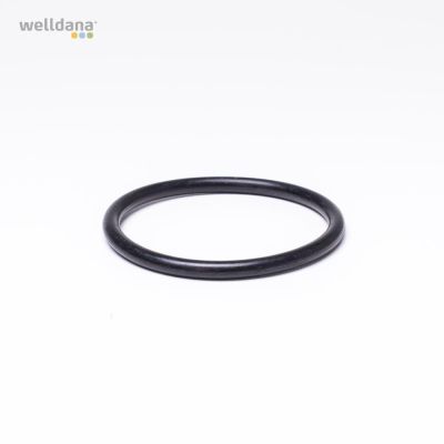 Diffuser gasket, Ondina
