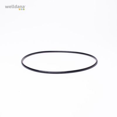 Flange o-ring, Ondina