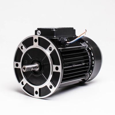 Motor f. Karpa / Kapri 5,5 HK 4,0 kw/400V