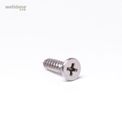 Screws f. skimmer L = 20 mm Welldana skimmer