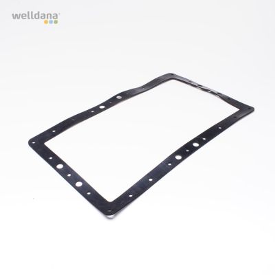 Gasket for wide mouth skimmer for liner