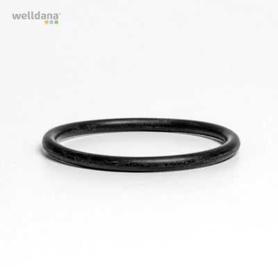 Oring 47X4 mm for E10, E20, SK20, SK30i