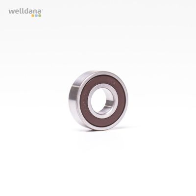 Ball bearing 6202-2RS-C3 (SKF)