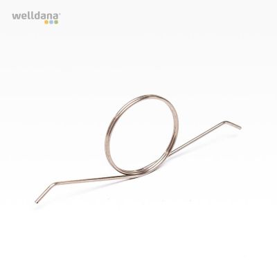 Torsion spring