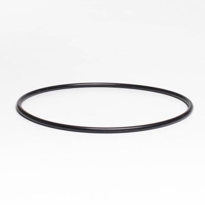 O-ring lid f.2