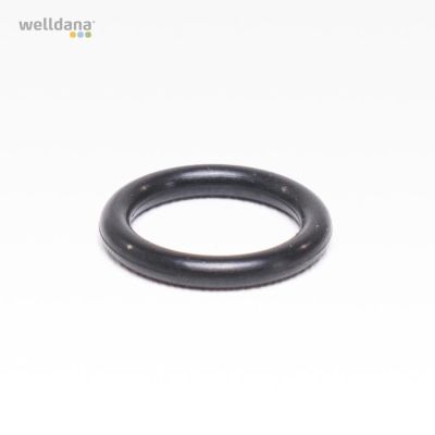 O-ring