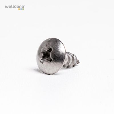 Screw for lock, RTL