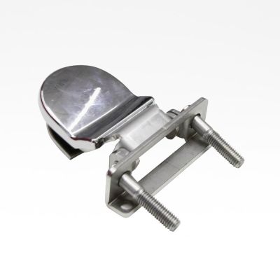 Hinges for steam door