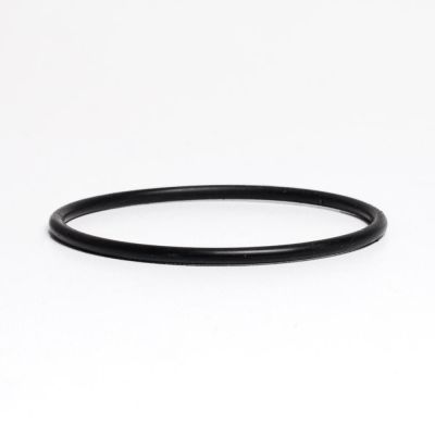Spa Pump O-Ring 5 HP Comfortana Pro