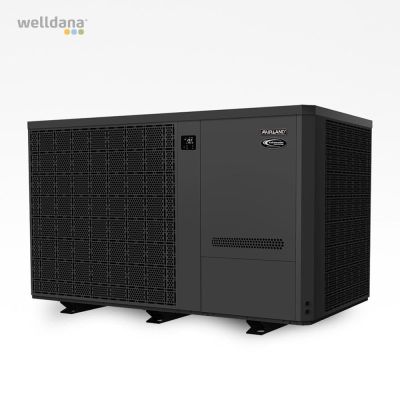 PPG Inverter + 
