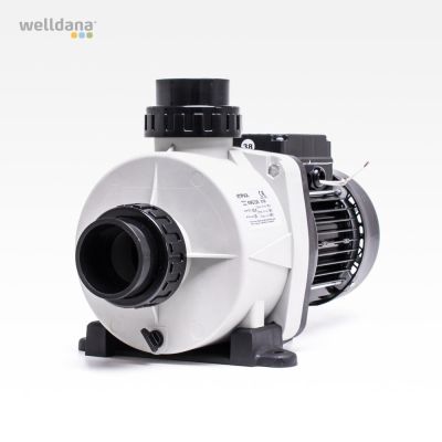 Niger spa pump